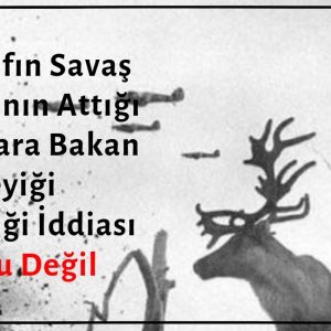 Fotoğrafın Savaş Uçaklarının Attığı Bombalar Nedeniyle Şoka Girmiş Geyiğe Ait Olduğu İddiası Asılsız