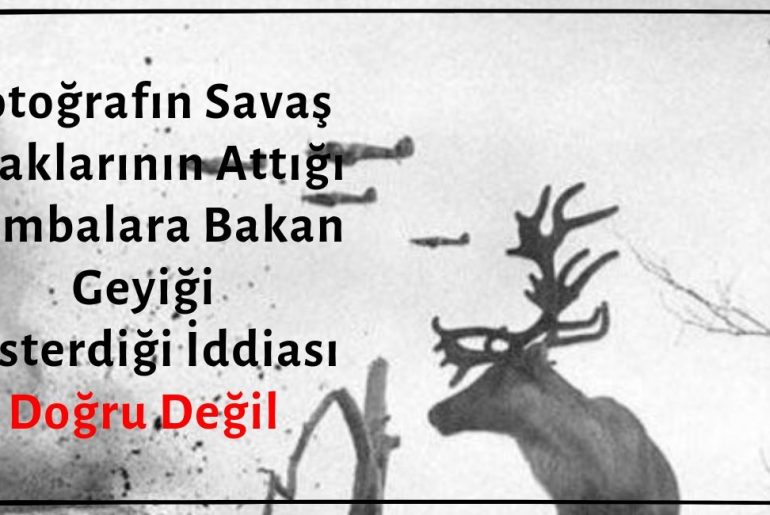 Fotoğrafın Savaş Uçaklarının Attığı Bombalar Nedeniyle Şoka Girmiş Geyiğe Ait Olduğu İddiası Asılsız