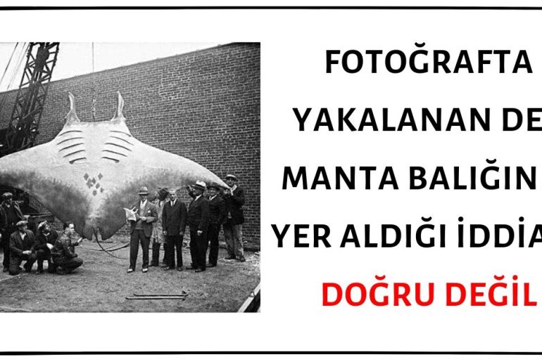 Fotoğrafın Yakalanan Dev Manta Balığını Gösterdiği İddiası Asılsız