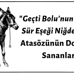 "Geçti Bolu'nun Pazarı Sür Eşeği Niğde'ye"nin Atasözünün Doğrusu Olduğu İddiası Doğru Değil
