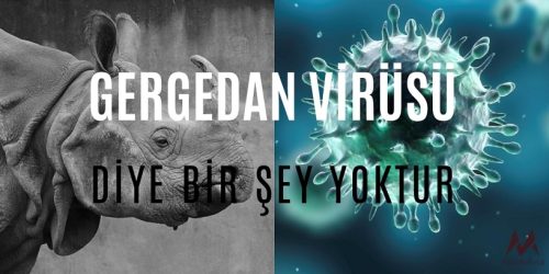 Gergedan Virüsü Safsatası