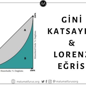 Lorenz Eğrisi ve Gini Katsayısı