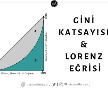 Lorenz Eğrisi ve Gini Katsayısı