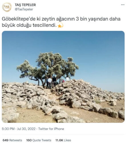 gobeklitepe-zeytin-agaci-iddiasi