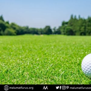 golf sahası