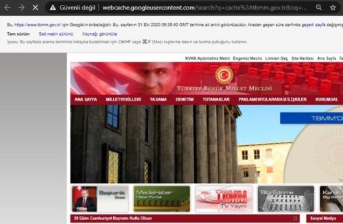 İnternet Sitesinin Önbellek Sürümünü Görme