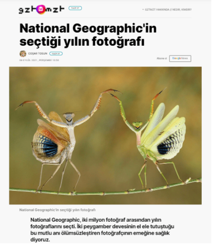National Geographic yılın fotoğrafı