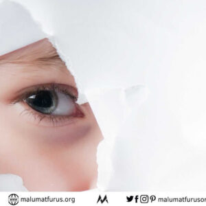 gözleri velfecri okumak