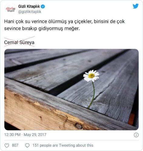 Hani Çok Su Verince Ölürmüş Ya Çiçekler Birisini De Çok Sevince Bırakıp Gidiyormuş Meğer