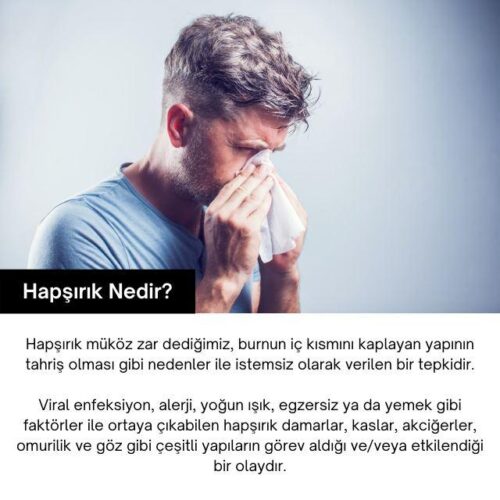 hapşırık nedir