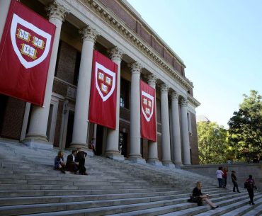 harvard üniversitesi
