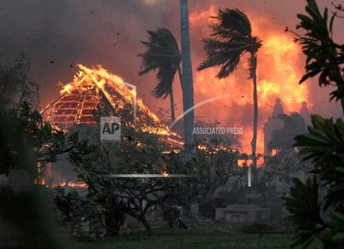 hawaii-yangini-8-agustos-2023