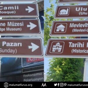 hayvan pazarı animal sunday çeviri