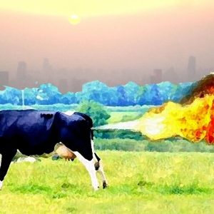 hayvancilik-metan-gazi