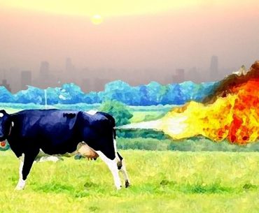 hayvancilik-metan-gazi
