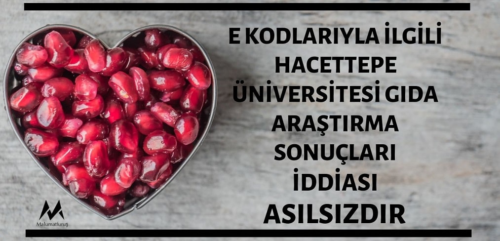 hazir-gida-maddeleri-hakkinda-hacettepe-universitesi-gida-arastirma-sonuclari-iddiasi