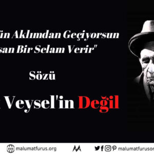 her gün aklımdan geçiyorsun insan bir selam verir aşık veysel