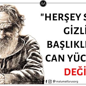 "Her Şey Sende Gizli" Başlıklı Şiirin Yazarının Can Yücel Olduğu İddiası Asılsız