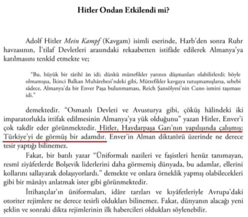 hitler enver paşa etki