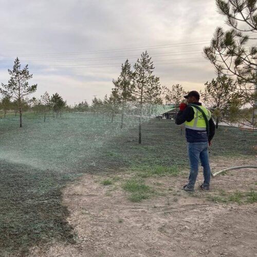 hydroseeding