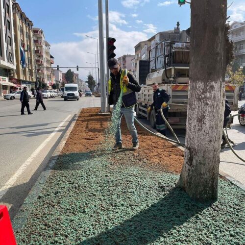 hydroseeding