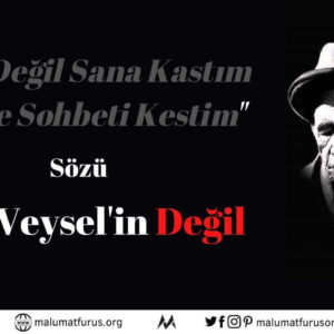 İnan Sana Değil Kastım Cahille Sohbeti Kestim Aşık Veysel