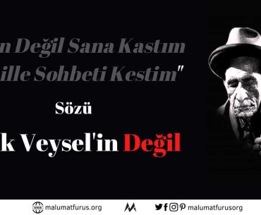 İnan Sana Değil Kastım Cahille Sohbeti Kestim Aşık Veysel