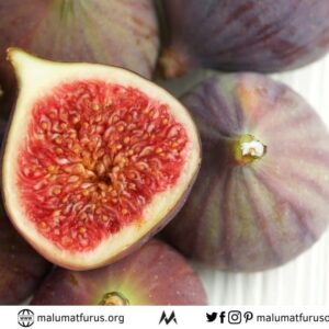 incir çekirdeği doldurmamak