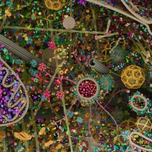 insan hucresinin en ayrintili goruntusu