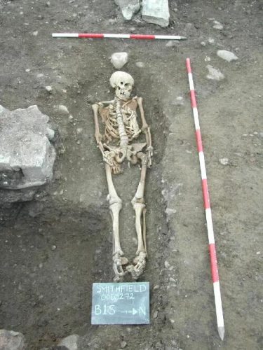 insan-iskeleti-arkeolojik-kazi