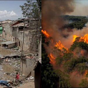 insan-yuzu-seklinde-manzara