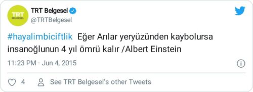 Arılar yeryüzünden kaybolursa insanoğlunun 4 yıl ömrü kalır