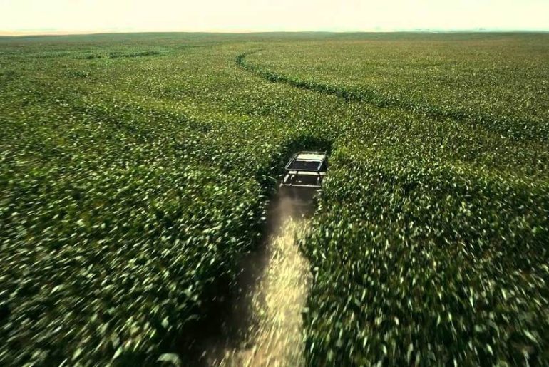 insterllar-misir-tarlasi