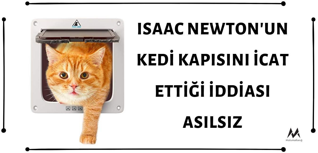 isaac-newtonin-kedi-kapisini-icat-ettigi-iddiasi