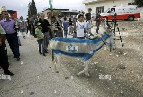 israil bayragi boyanmis esek