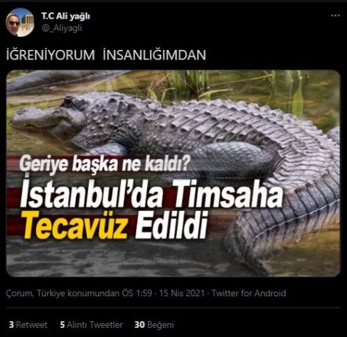 istanbulda timsaha tecavüz edildi iddiası