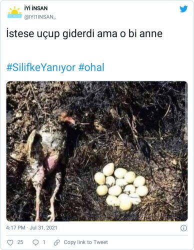 istese uçup giderdi