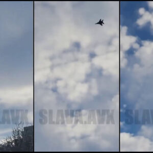 ukrayna semalarinda it dalasi