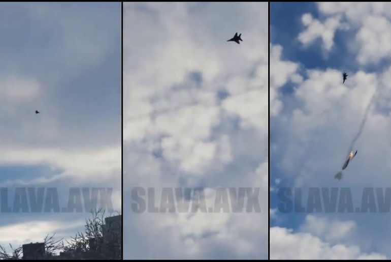 ukrayna semalarinda it dalasi