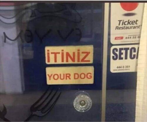 itiniz your dog