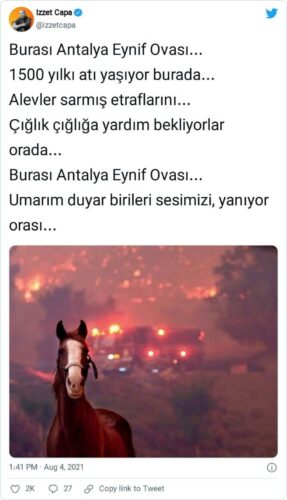 izzet çapa yangın at