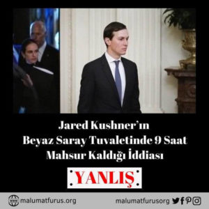 jared kushner donald trump