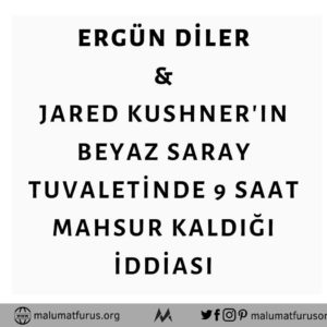 jared kushner beyaz saray