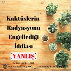 Kaktüslerin radyasyonu engellediği iddiası asılsız