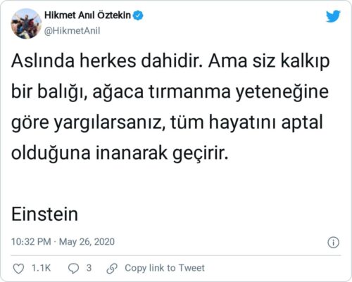 Ama siz kalkıp bir balığı, ağaca tırmanma yeteneğine göre yargılarsanız balık tüm hayatını aptal olduğuna inanarak geçirir.