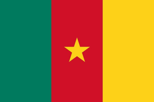 kamerun-bayragi