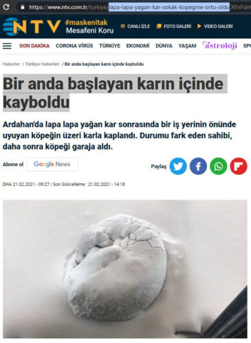 karın içinde kayboldu