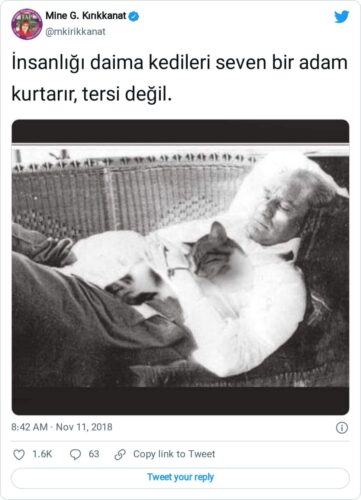 ataturk kedi montaj fotograf