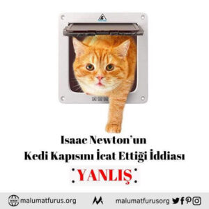 kedi kapısı mucidi newton 