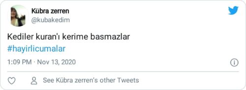 kediler kuranın üstüne basmazlar